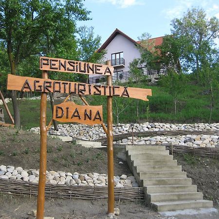 Pensiunea Agroturistica Diana Magura  Exterior photo