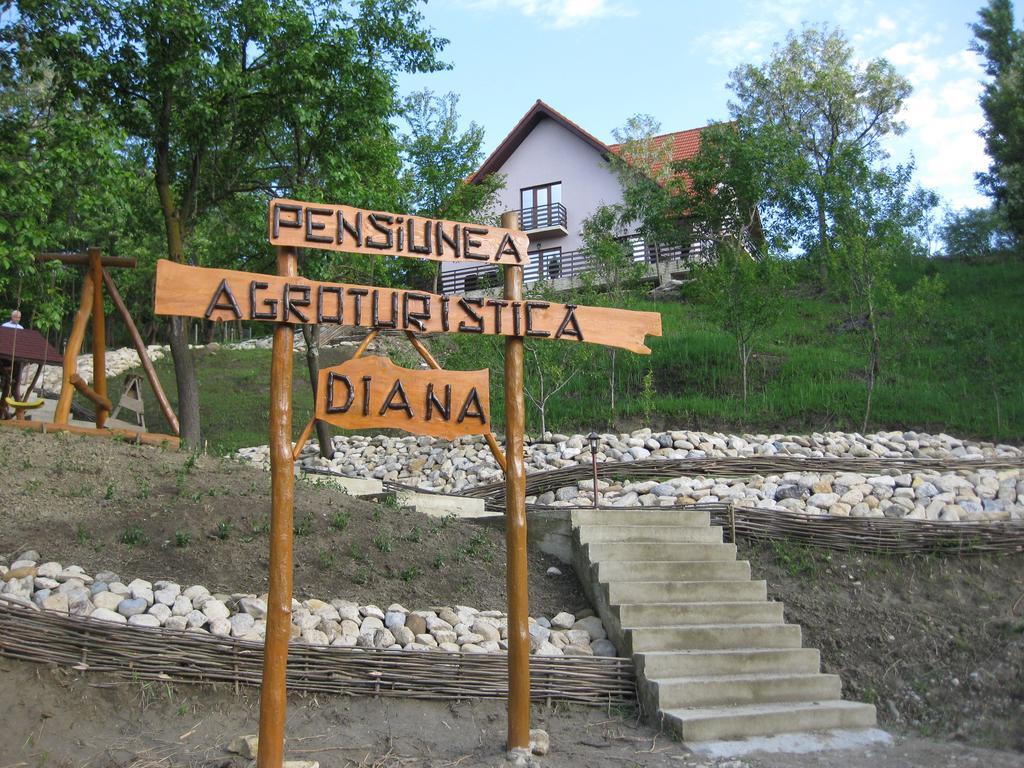 Pensiunea Agroturistica Diana Magura  Exterior photo