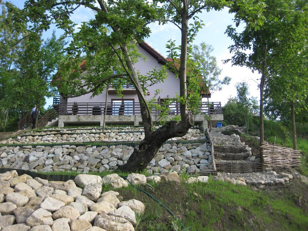 Pensiunea Agroturistica Diana Magura  Exterior photo