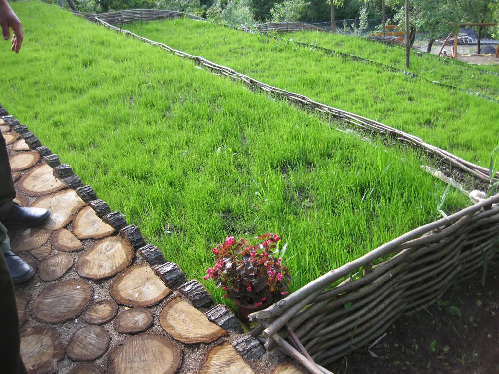 Pensiunea Agroturistica Diana Magura  Exterior photo