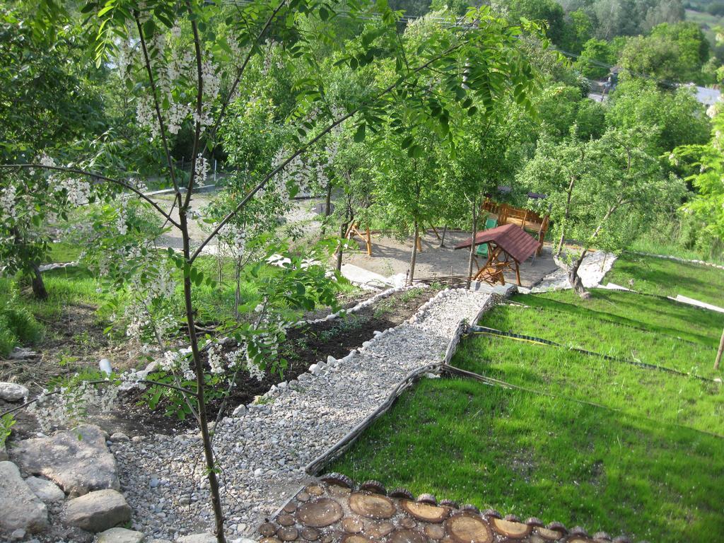 Pensiunea Agroturistica Diana Magura  Exterior photo