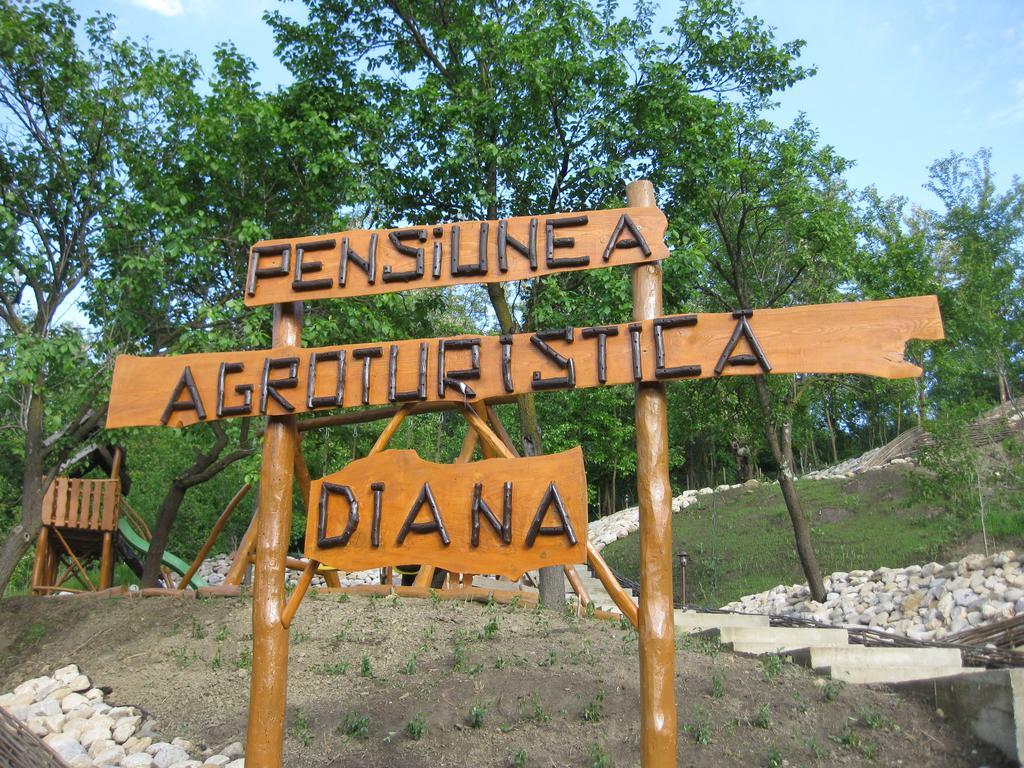 Pensiunea Agroturistica Diana Magura  Exterior photo