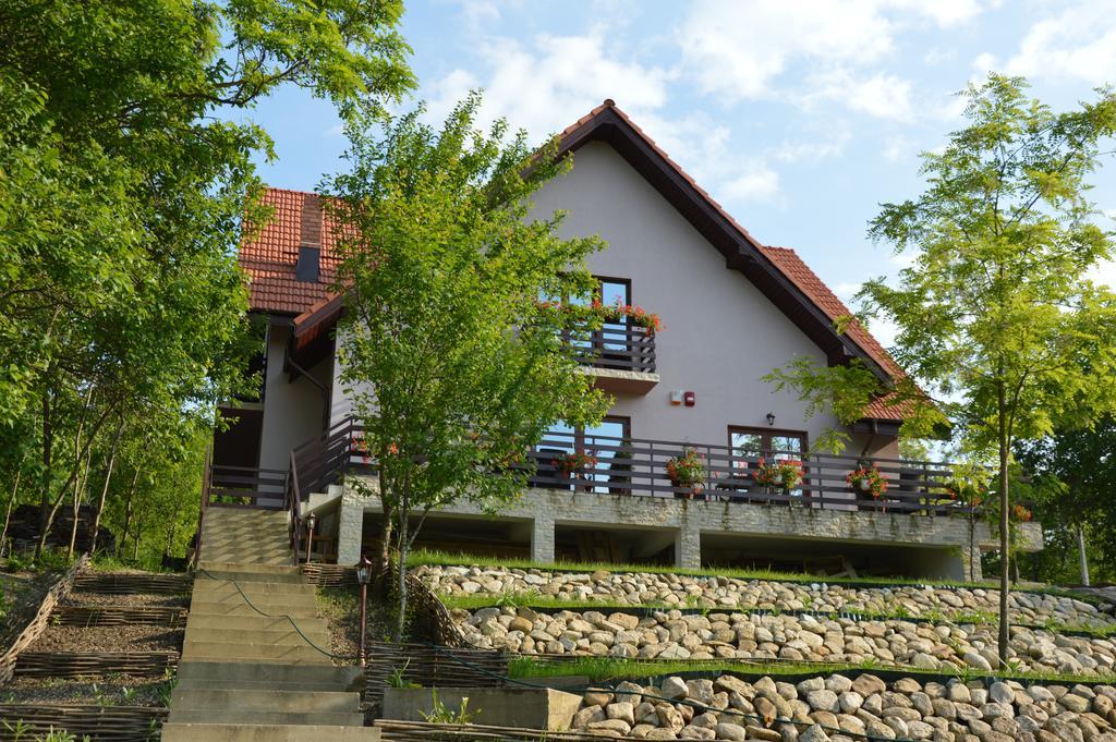 Pensiunea Agroturistica Diana Magura  Exterior photo